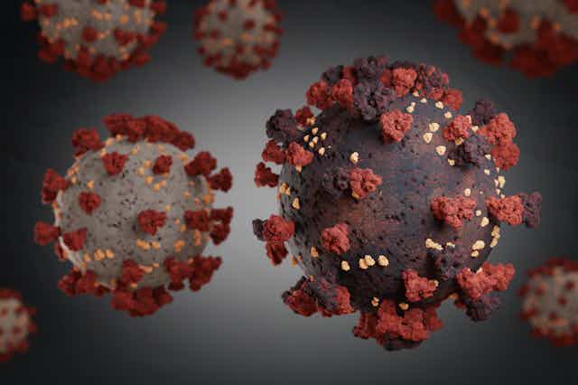 A graphic rendering of the SARS-CoV-2 coronavirus
