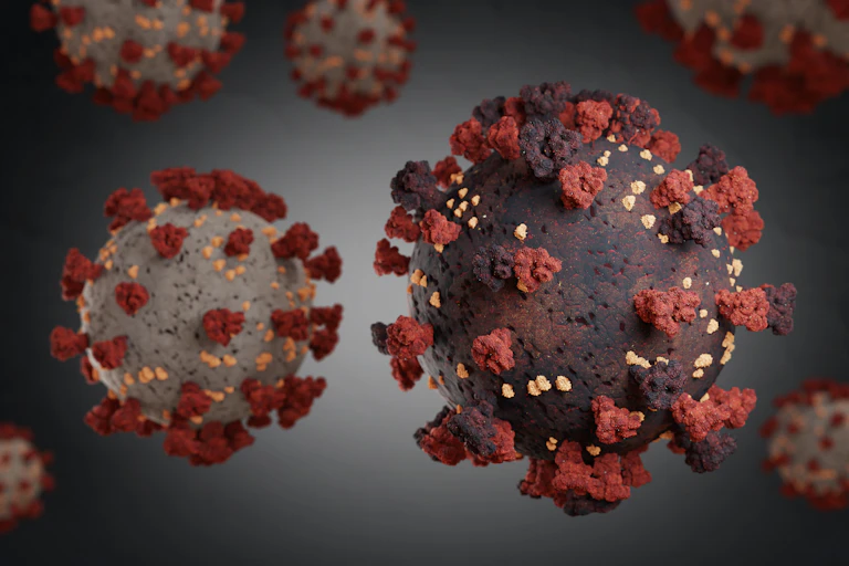 A graphic rendering of the SARS-CoV-2 coronavirus