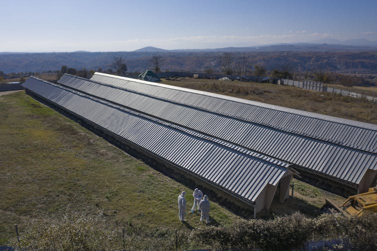 External view of the sheds at a mink farm in Greece