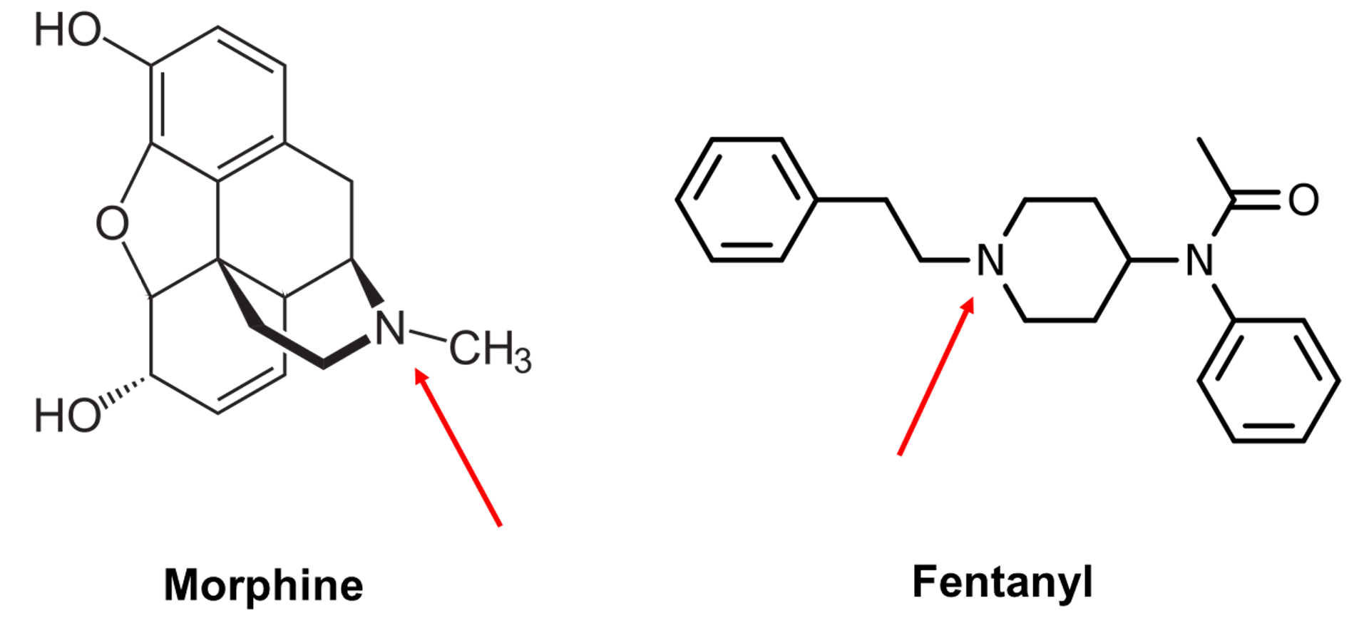 Chemical structures of morphine and fentanyl