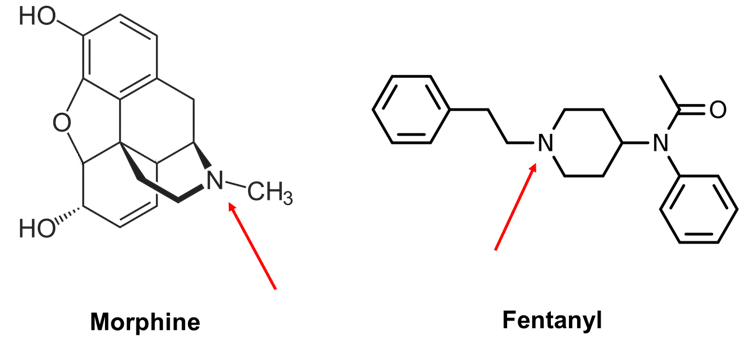 Chemical structures of morphine and fentanyl