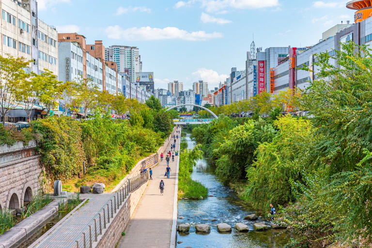 A tree-lined urban stream