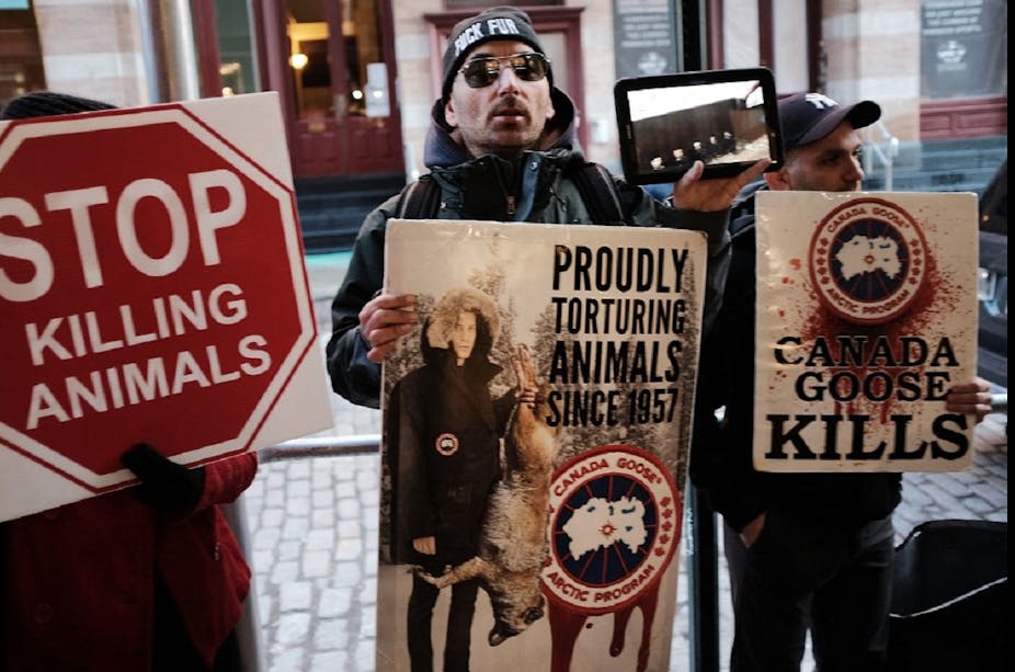 Des activistes en faveur des droits animaux tiennent des pancartes dénonçant l'usage de fourrures de coyotes par l'entreprise Canada Goose, le 1er décembre 2017, à New York. 