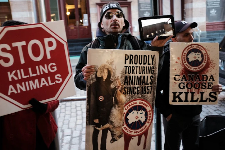 Des activistes en faveur des droits animaux tiennent des pancartes dénonçant l'usage de fourrures de coyotes par l'entreprise Canada Goose, le 1er décembre 2017, à New York.