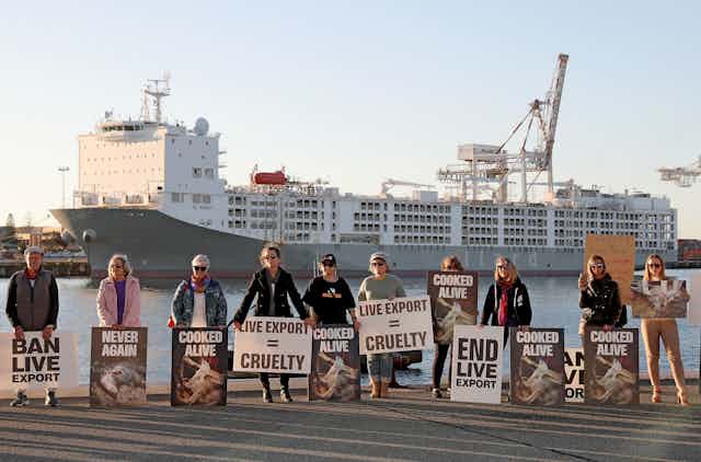 Animal welfare protesters rally in front of the Al Kuwait live export ship as sheep are loaded in Fremantle harbour