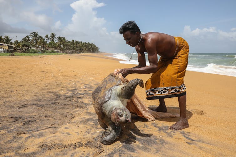 Could Sri Lanka's ship fire have been avoided? Here's what we can learn from the shocking environmental disaster