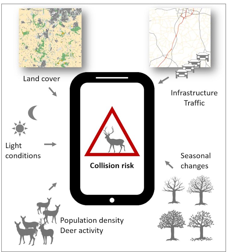 A tablet with 'collision risk' on it and different factors like 'land cover' pointing to it.