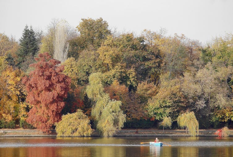 Trees in autumn line the bank of a river