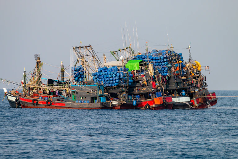 Overstocked fishing trawlers