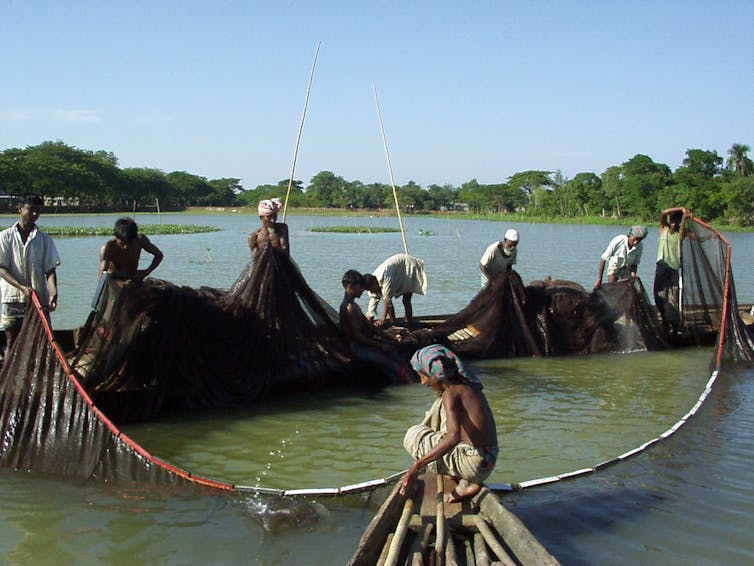 Small-scale fishermen catching fish