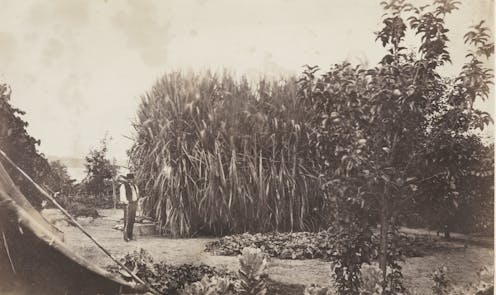 Friday essay: beyond 'statue shaming' — grappling with Australia's legacies of slavery