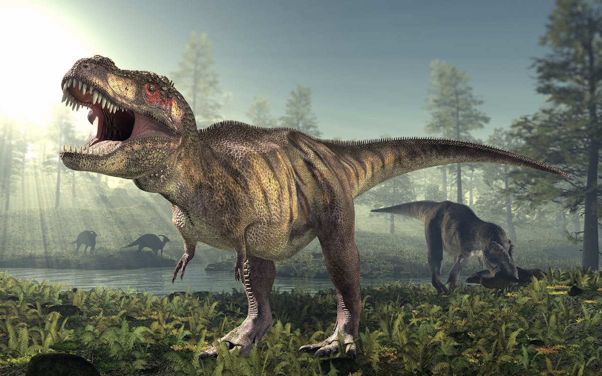 Is it possible to recreate dinosaurs from their DNA?