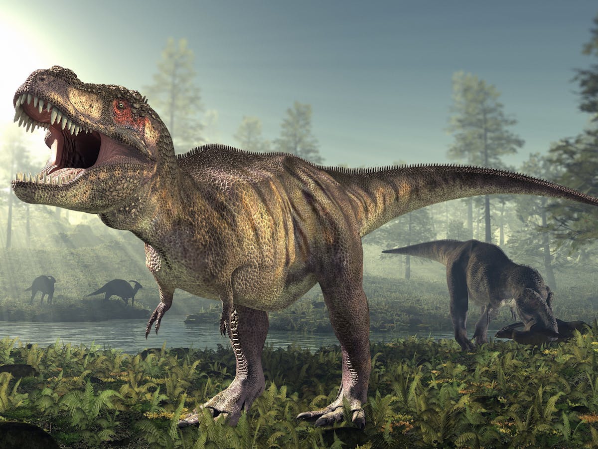 Is it possible to recreate dinosaurs from their DNA?