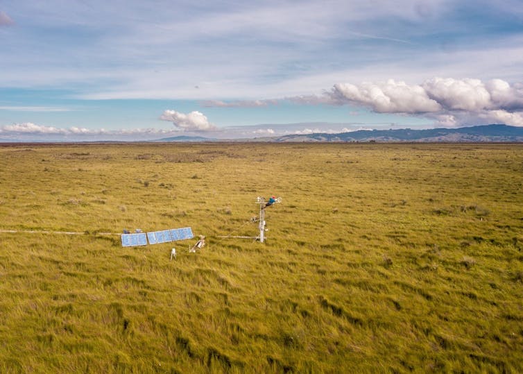 Aerial view of the Kopuatai bog.