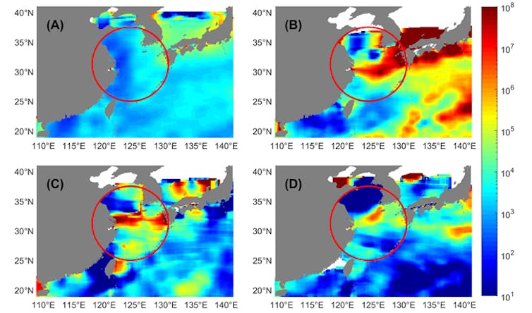 Satellite images, color-coded to show density of microplastic particles in the water.