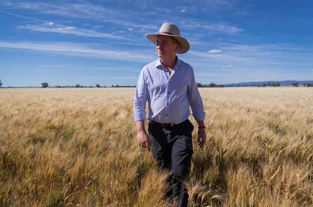 man walks through wheat field