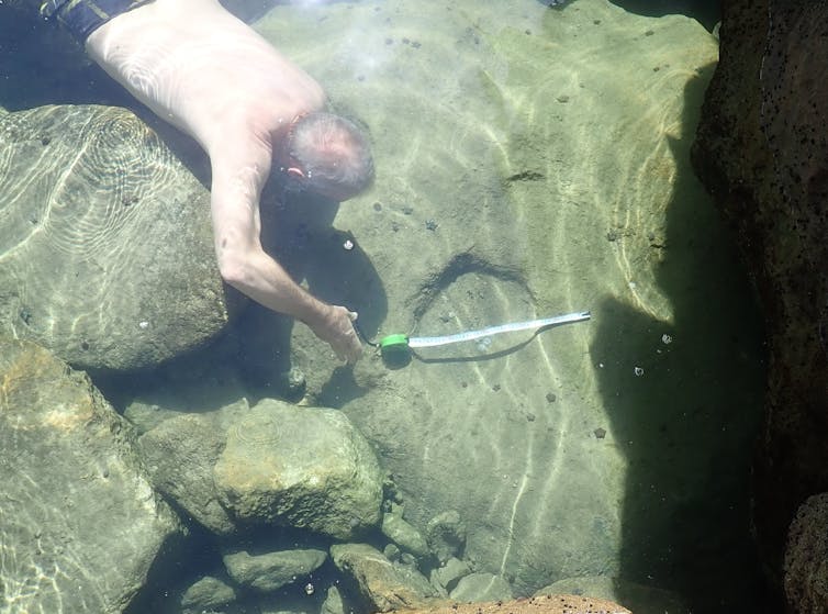 A shirtless man in blue shorts is seen underwater, a ruler in his hand held against a rock surface. A large indentation is visible on the rock.