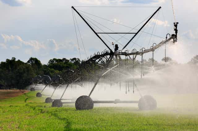 Irrigation on crops