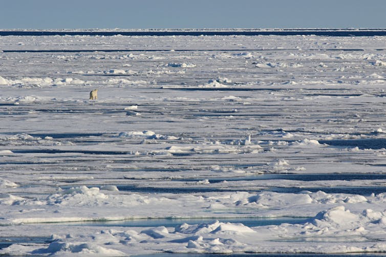 Sea ice in the Arctic