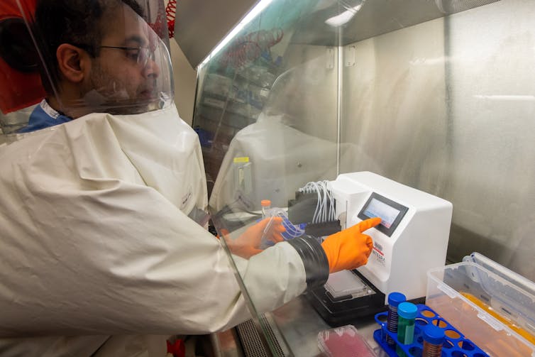 Scientist in full PPE works under the hood of a biosafety cabinet