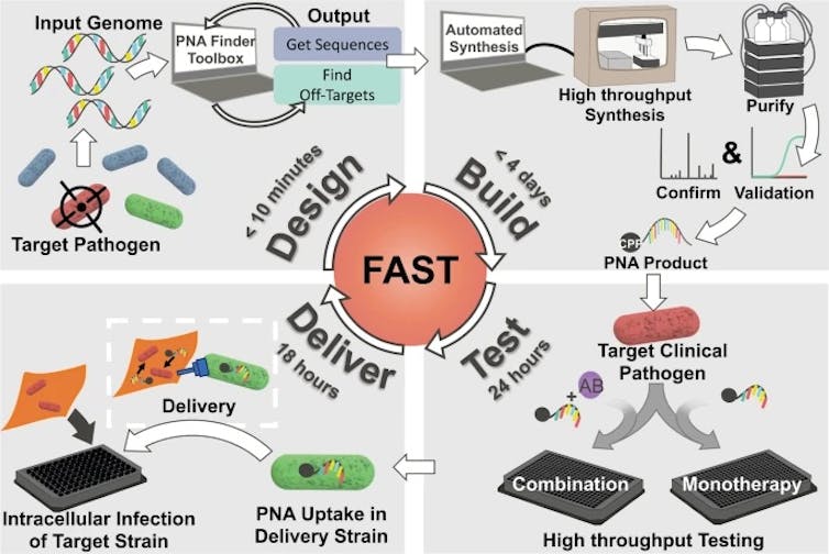 Diagram depicting a new methodology of designing, synthesizing, testing and delivering therapies against multidrug-resistant bacteria.