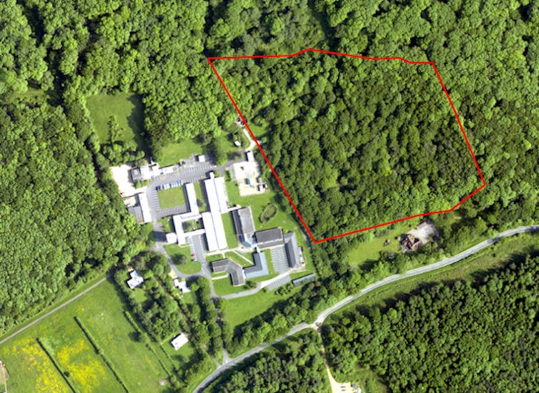An aerial view of the field station with a square patch of woodland highlighted.