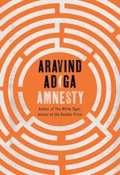 Amnesty book cover