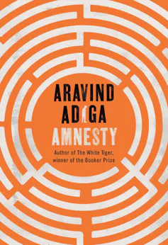 Amnesty book cover