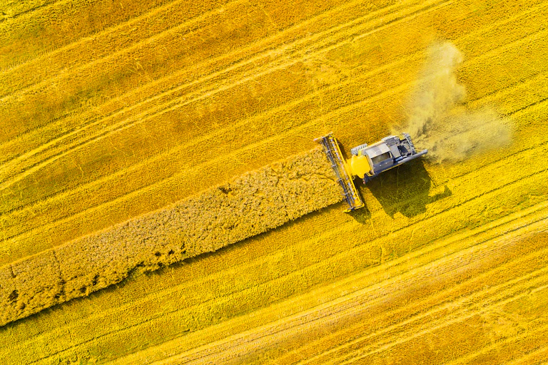 tractor ploughs field