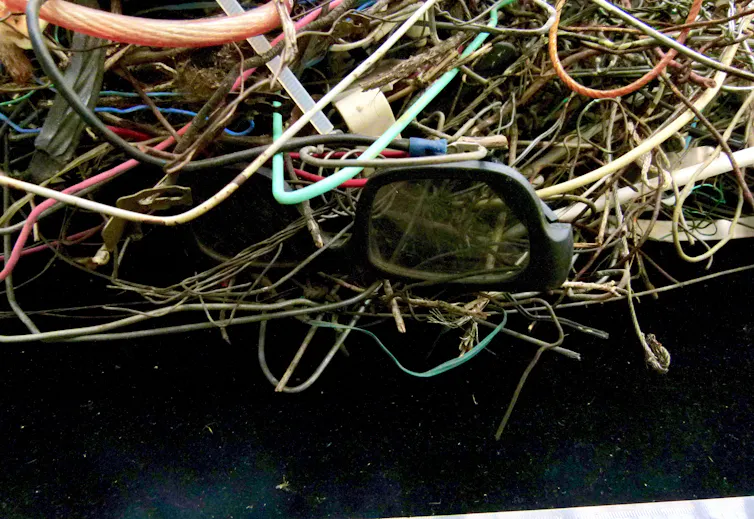 Changing Human Rubbish in Bird Nests 1 Changing Human Rubbish in Bird Nests 1