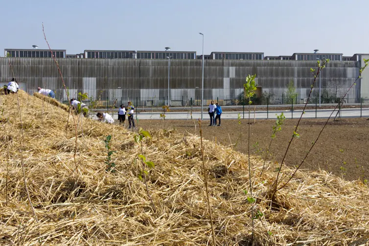 Groupe de personnes en action sur un chantier de reforestation urbaine