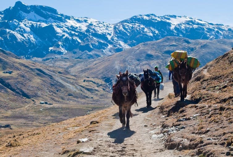 Mountain ranges like the Andes are formed through subduction and can be rich in copper deposits. Adèle Beausoleil / Unsplash