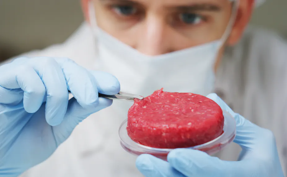 Food Science Meat Lab–grown and plant–based meat: the science, psychology and future of ...