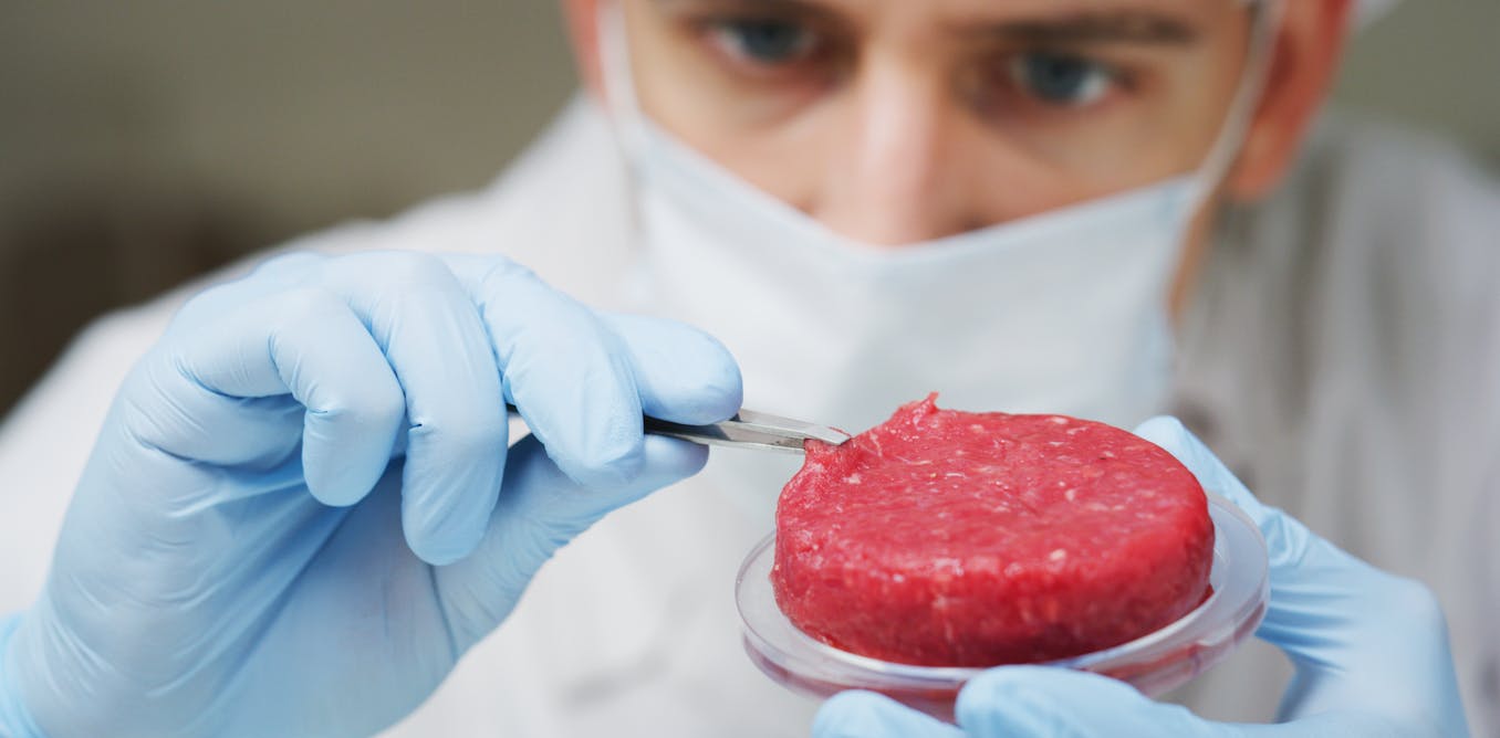 Lab–grown and plant–based meat: the science, psychology and future of meat alternatives – podcast