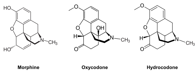 Structures of epoxymorphinan structures