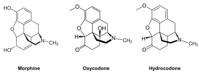 Structures of epoxymorphinan structures