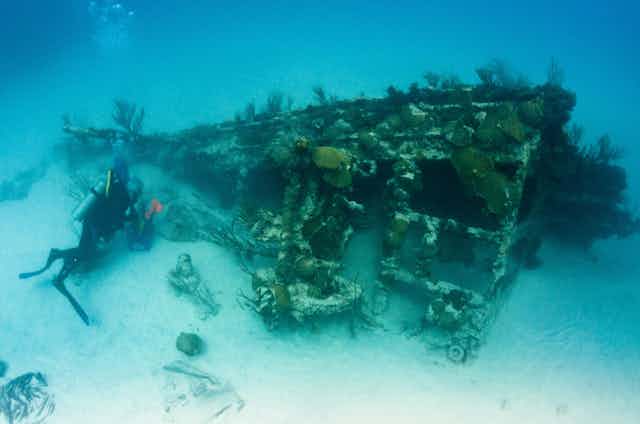 Underwater view of the skeletal bow of a ship encrusted in coral lying on its side on the sandy bottom, to the left a diver explores the wreck