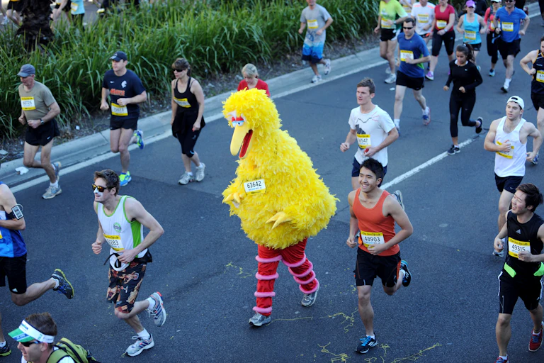 Runner in Big Bird costume at City2Surf
