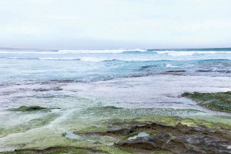 beach shore