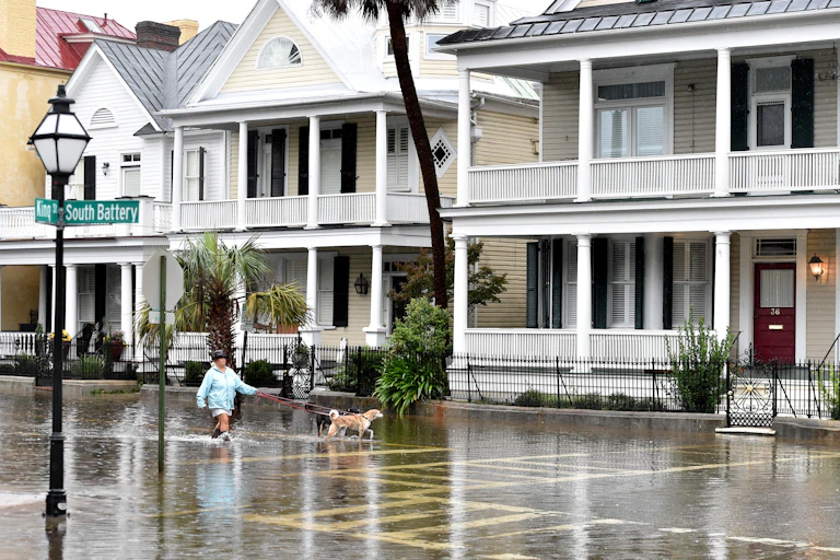 A woman in rain boots walks two dogs through shin-high water in the street past old houses with large porches on South Battery in Charleston