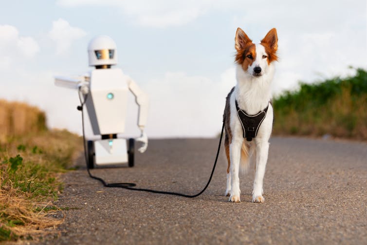 A robot takes a dog for a walk