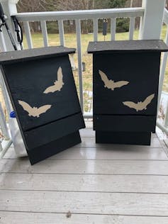 Two bat boxes.