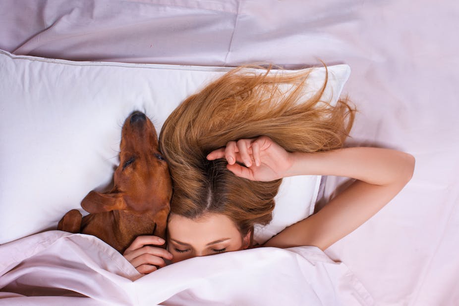 A woman and her dog snuggled under their bed covers.