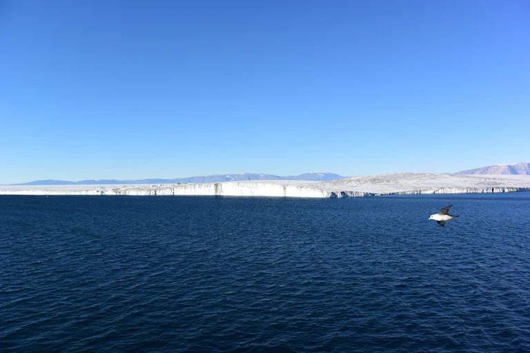 Lengua glaciar sobre el mar