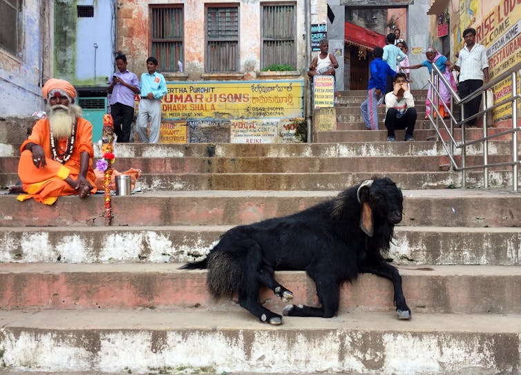 India's Varanasi — a sacred site on a river of rituals and altered states