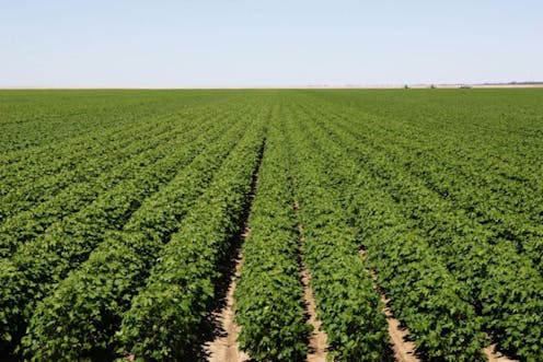 old macdonald sold the farm so what s the future for agriculture