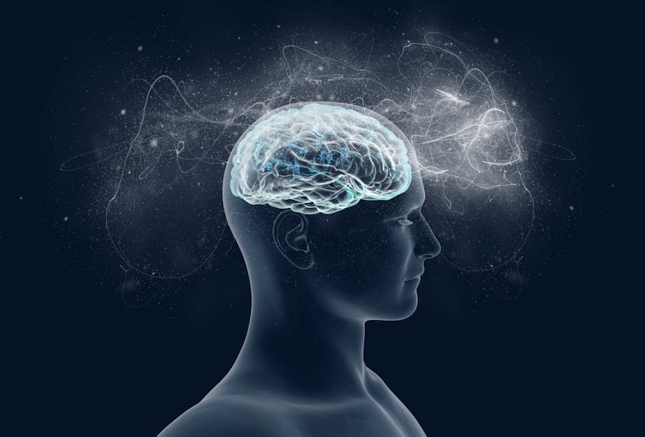 An illustration of a human brain