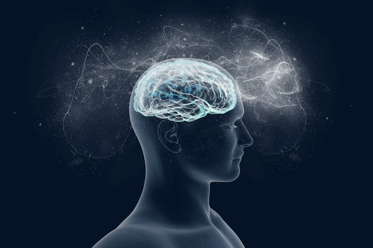 An illustration of a human brain