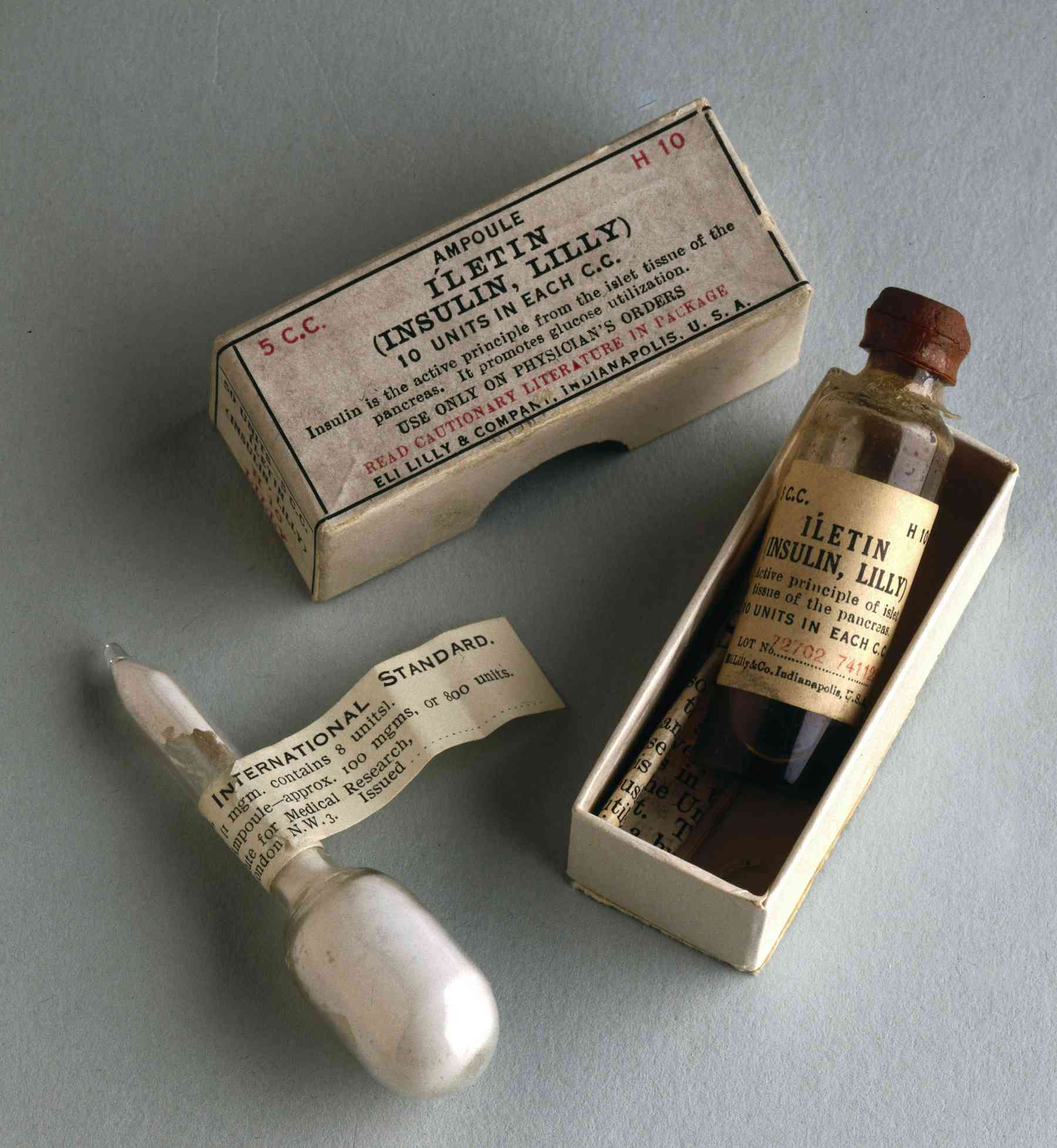 Scientific Breakthrough: Bumpy Stomach Structure And Insulin Production Linked - 16zc64p