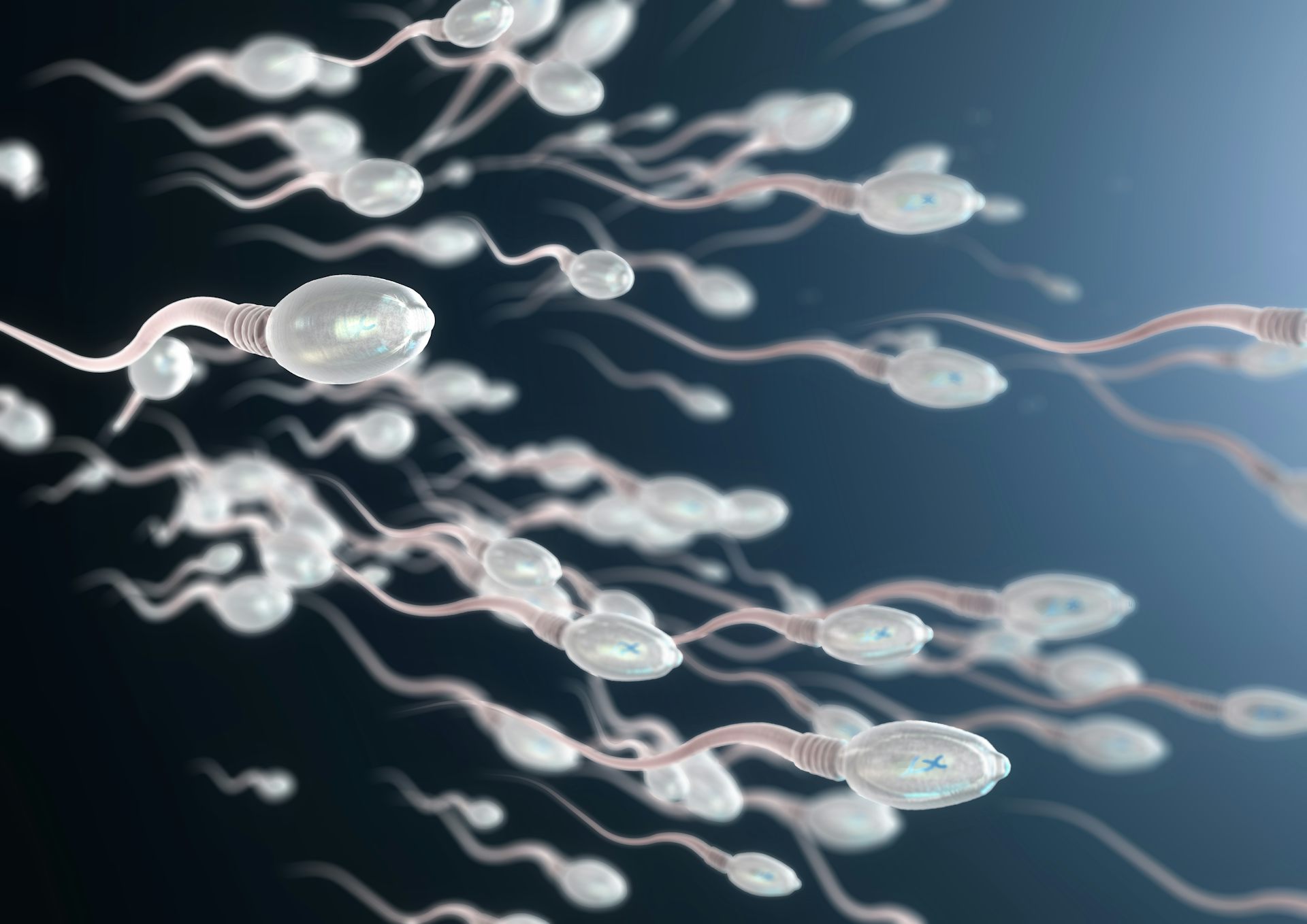 COVID 19 could cause male infertility and sexual dysfunction but